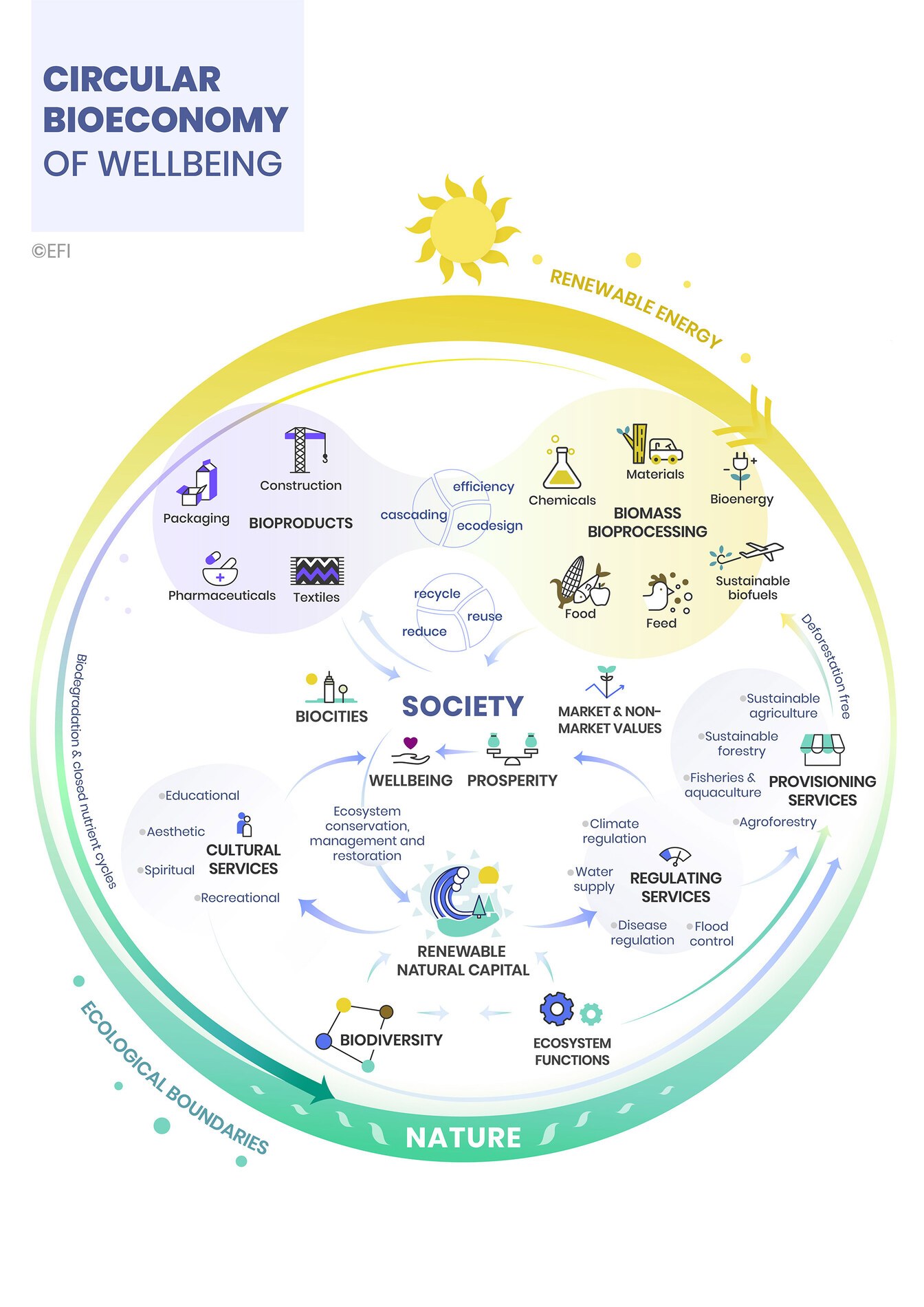 Biocity metabolisms align with the broader concept of the circular bioeconomy