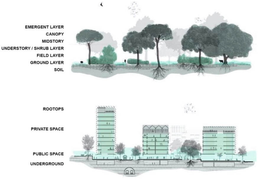 Biocities work in stacked layers of function, as do forests (Ch. 1)