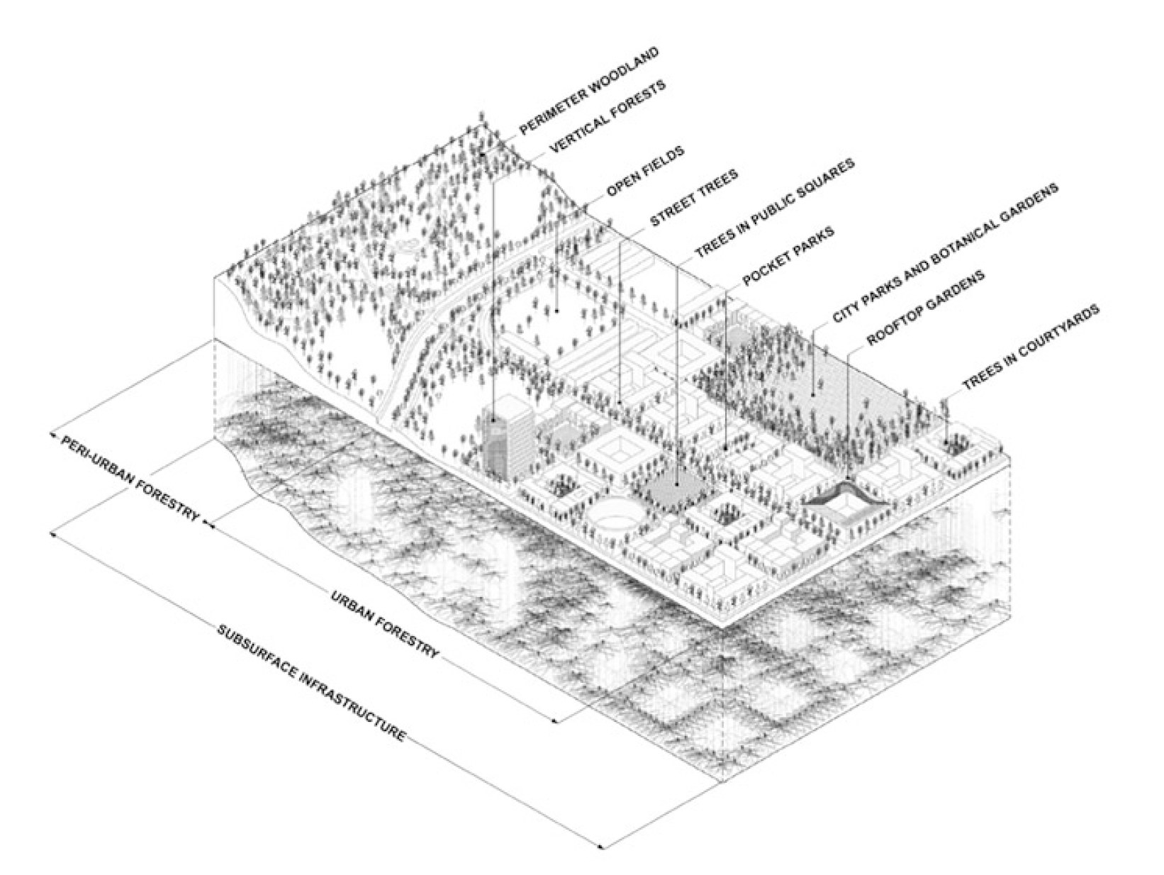 Biocities establish a seamless ecological gradient between nature and urban core