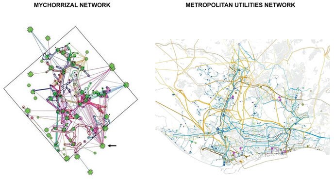Biocity informational and infrastructural networks take inspiration from organic networks (Ch. 1)
