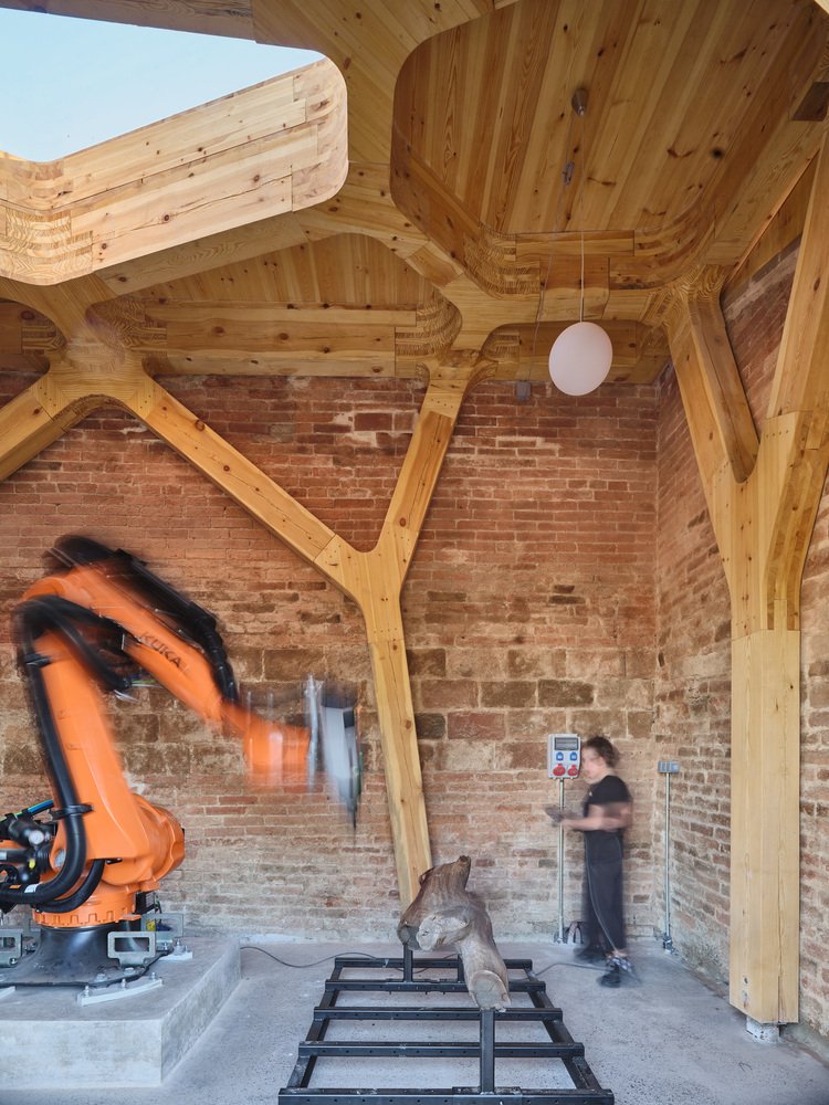 CORA celebrates a new era of collaboration between humans, machines, and nature.
