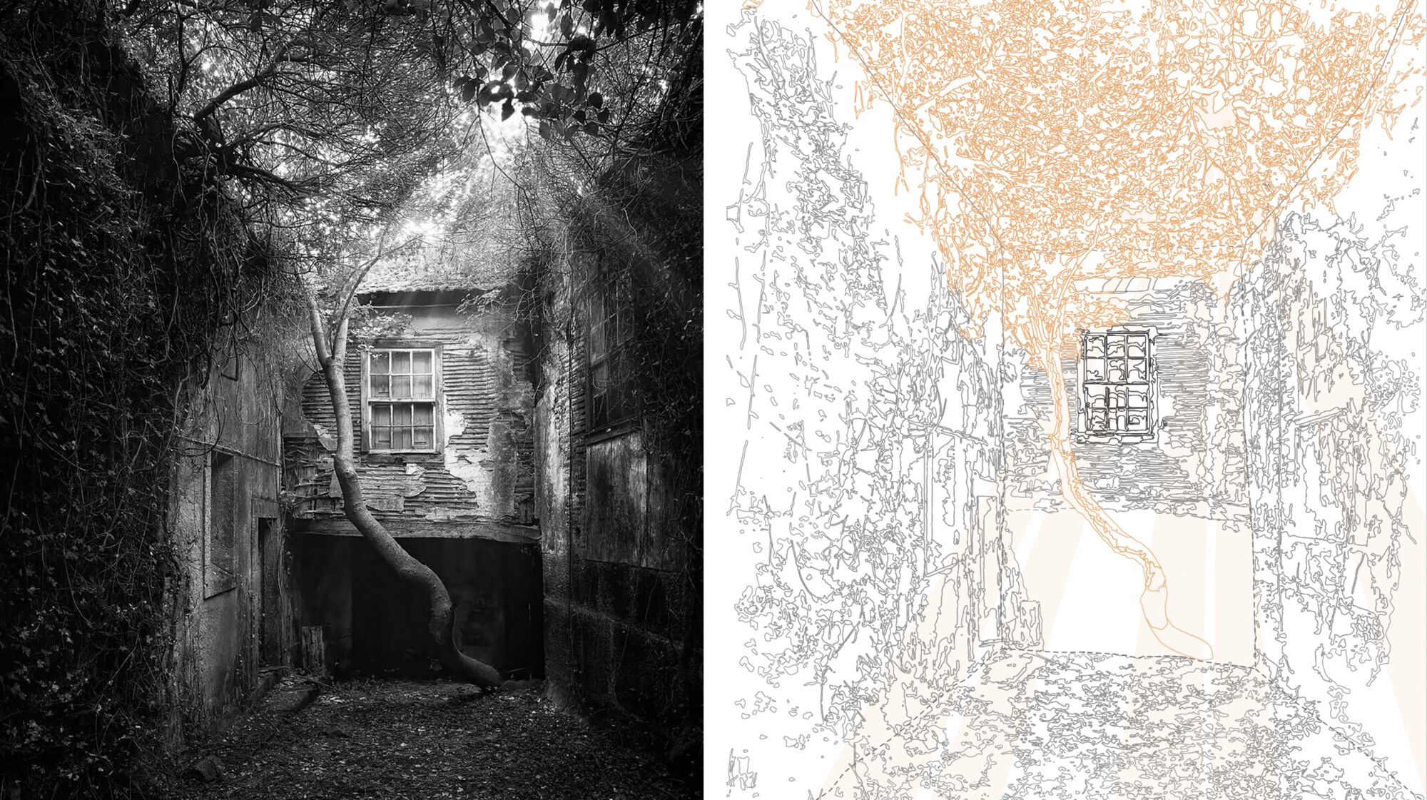 CORA is inspired by the way nature organically reclaims ruined structures, seen through a digital lens.