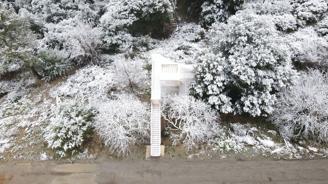 The frozen mesh of FLORA blending into the wintery landscape.