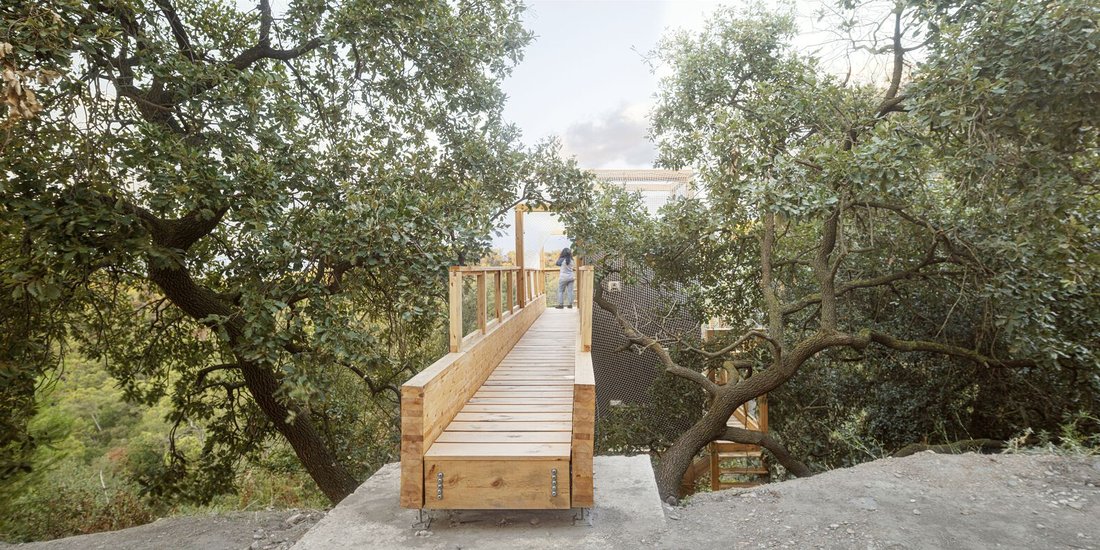 The elevated walkway threading between the pines.