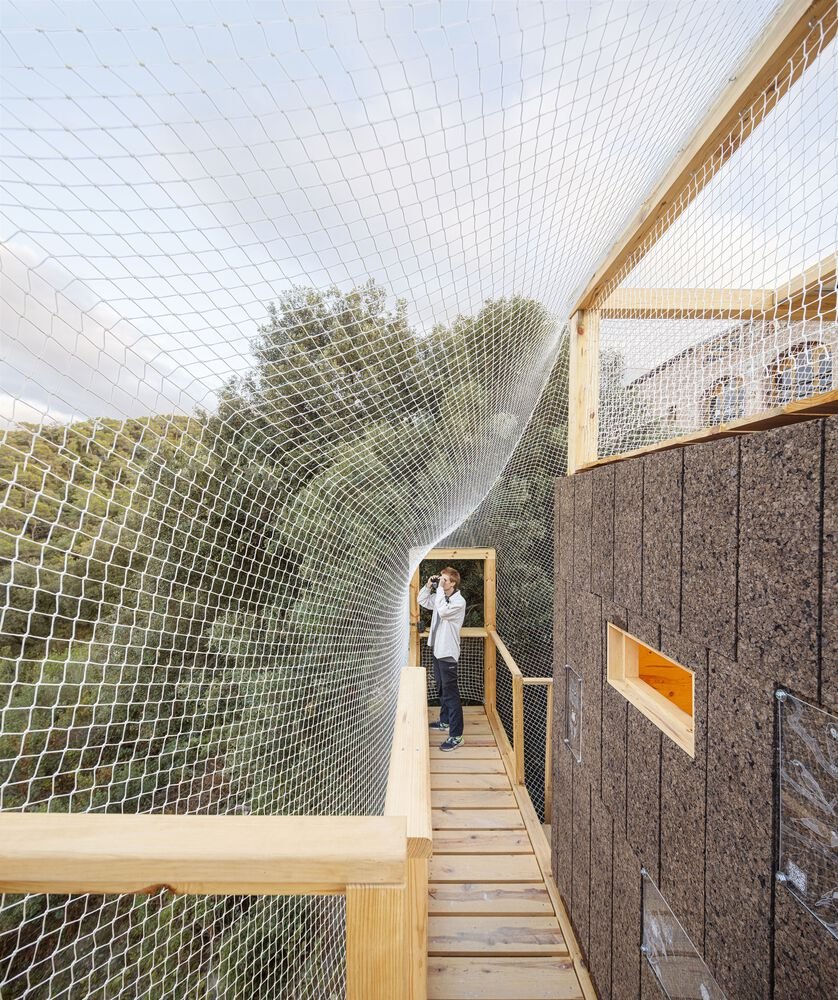 Netting encloses the walkway as it climbs through the canopy.