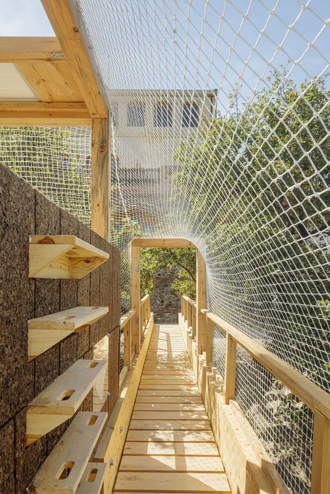 A ladder provides access to the roof of the observation core.