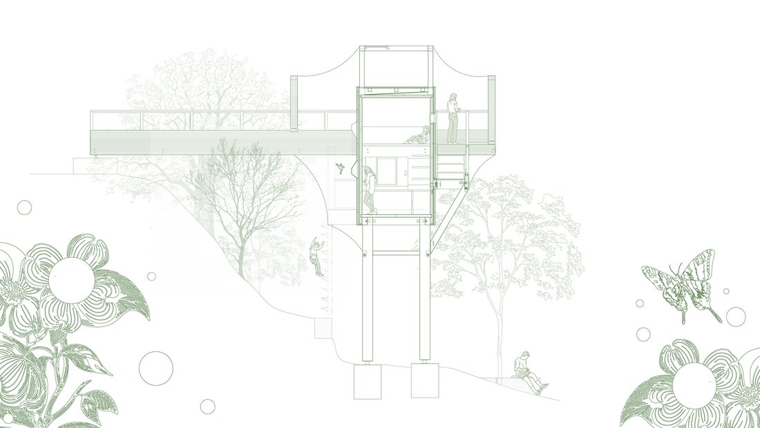 Section through the canopy walkways.