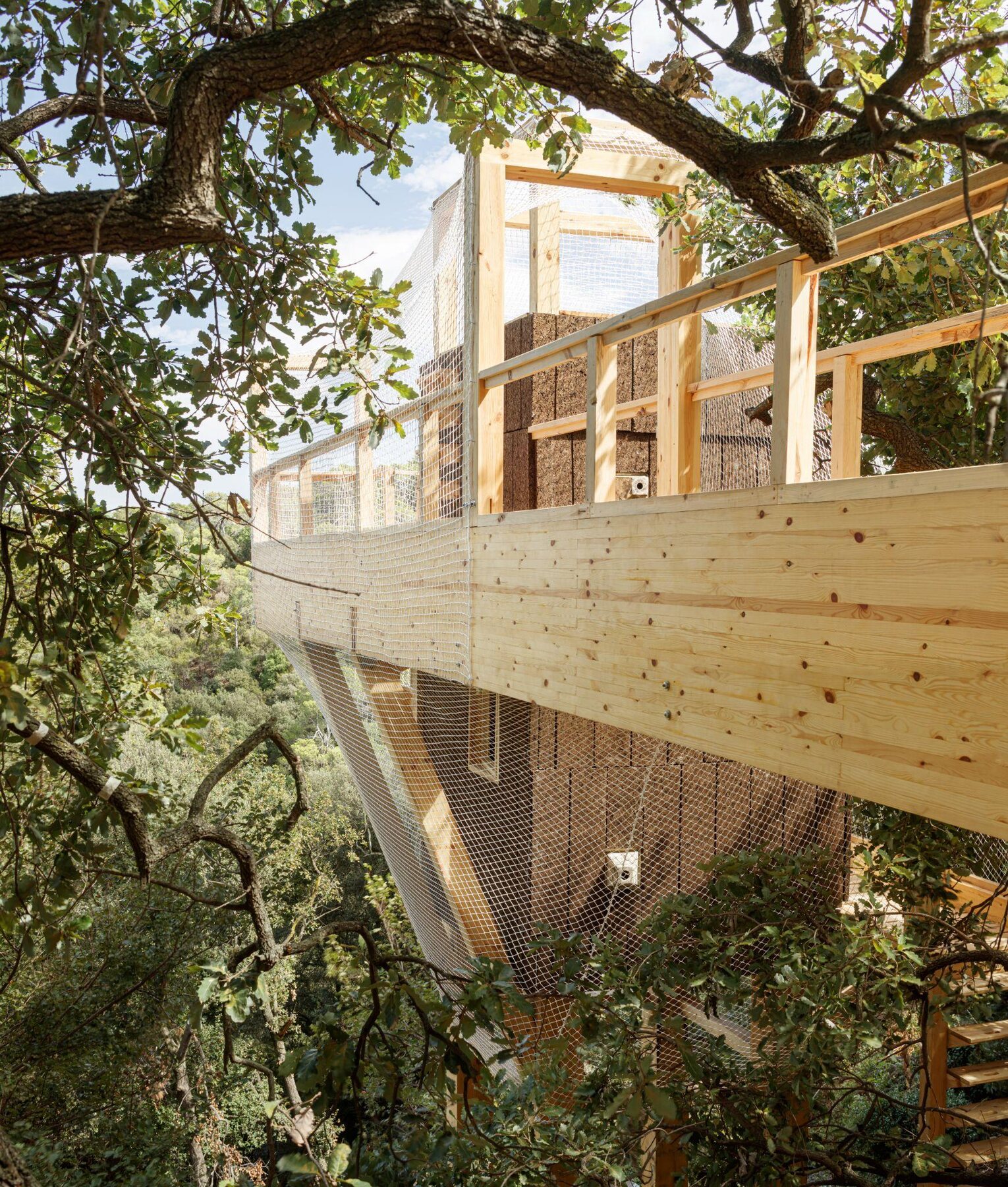 A 14 meter glulam bridge leads to the cork-clad observation core in the forest canopy.