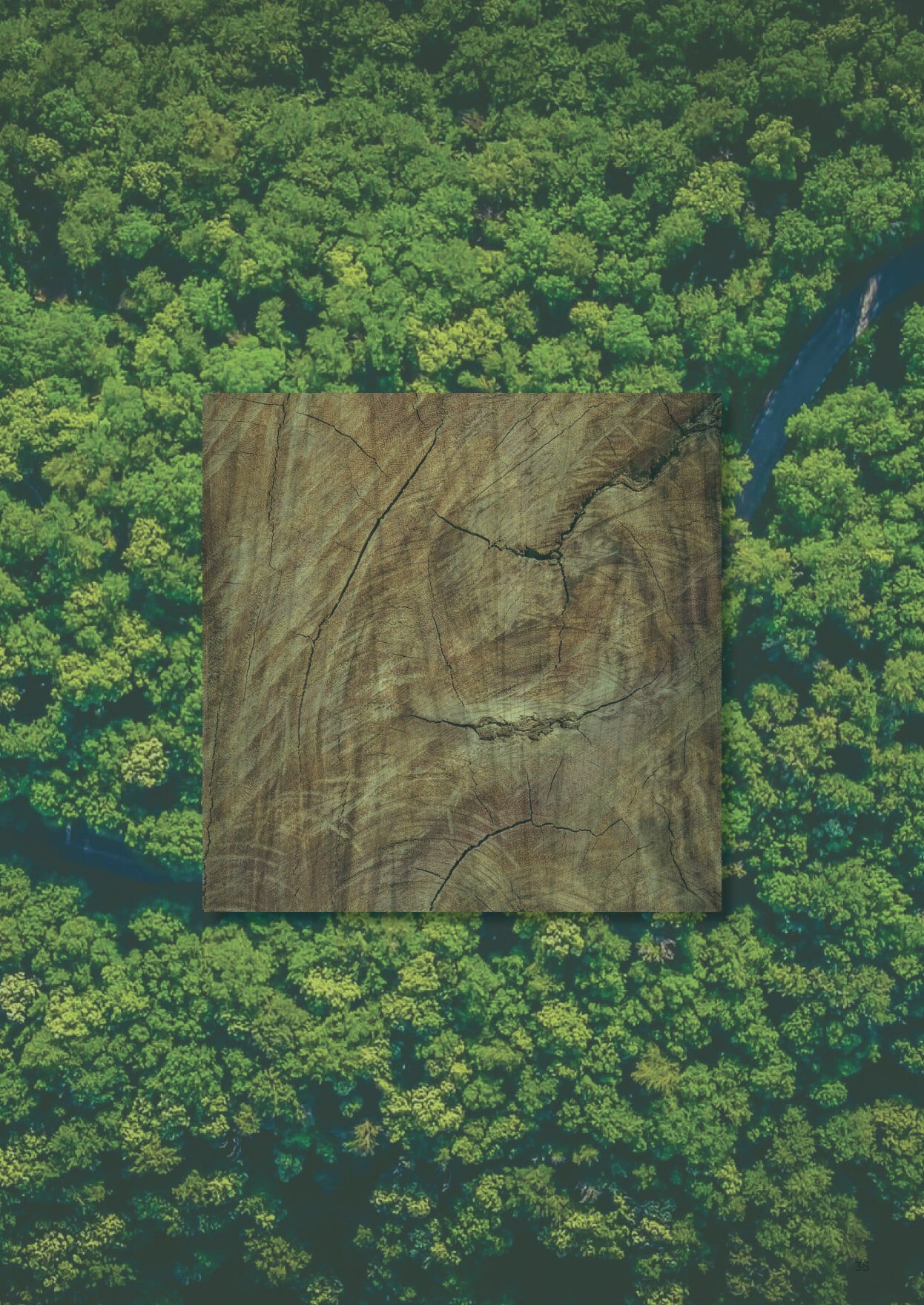 Regional timber is a key protagonist of the bio-based transition in LATAC construction.