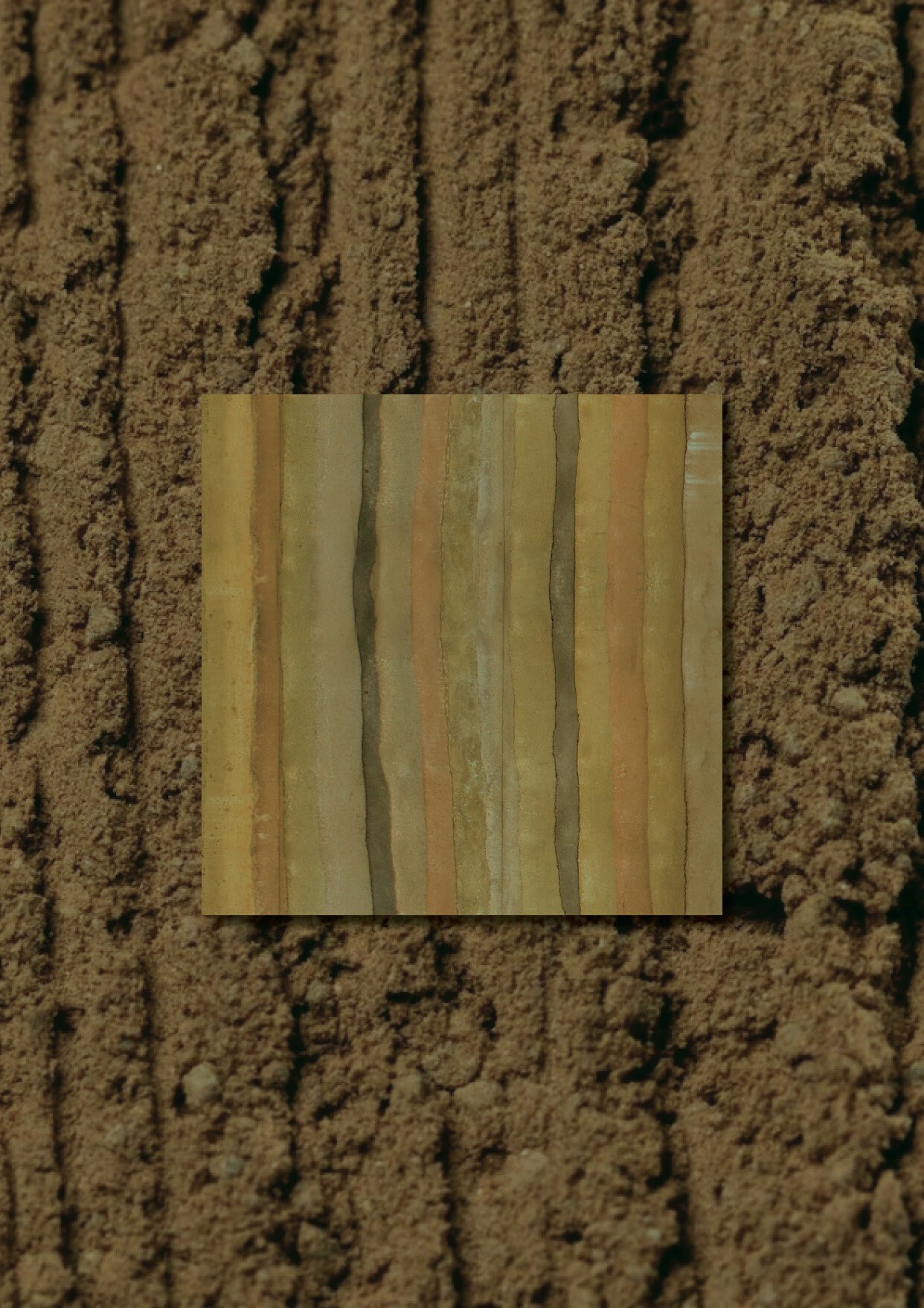 Earth is an ancient and innovative solution for the future of construction in LATAC.