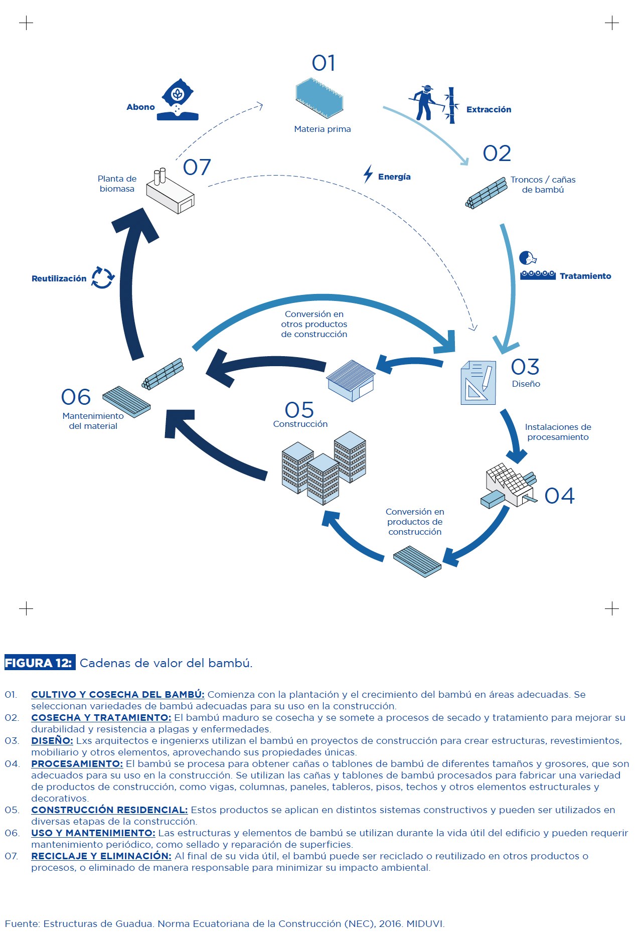 Circular bio-based material value chains are detailed for the sustainable management of key natural building resources such as bamboo.