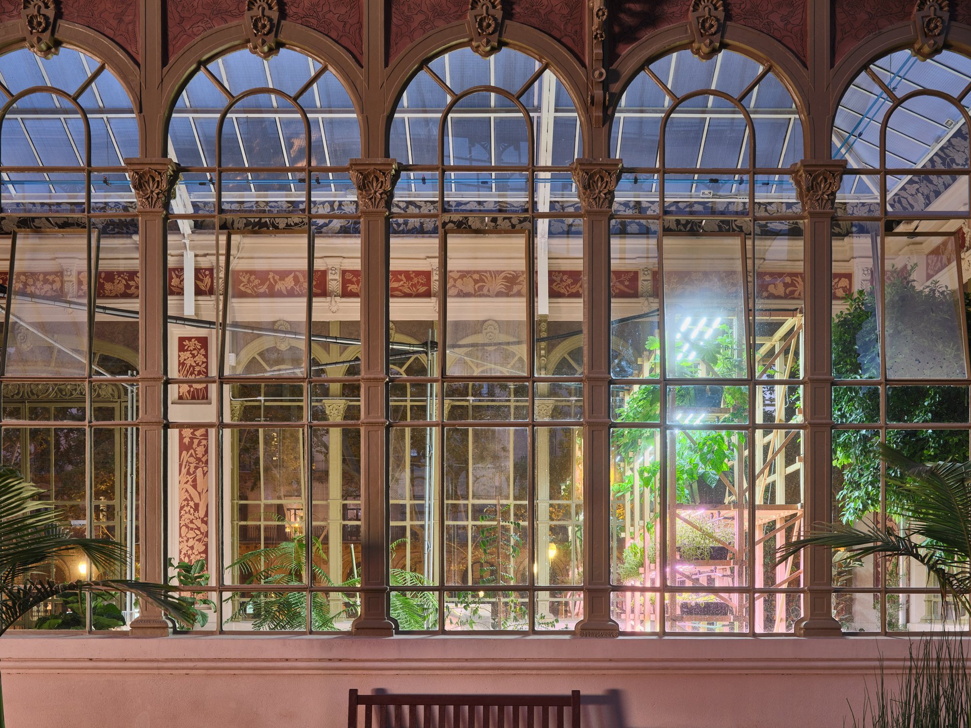 The vertical planter illuminated at night through the Hivernacle windows.