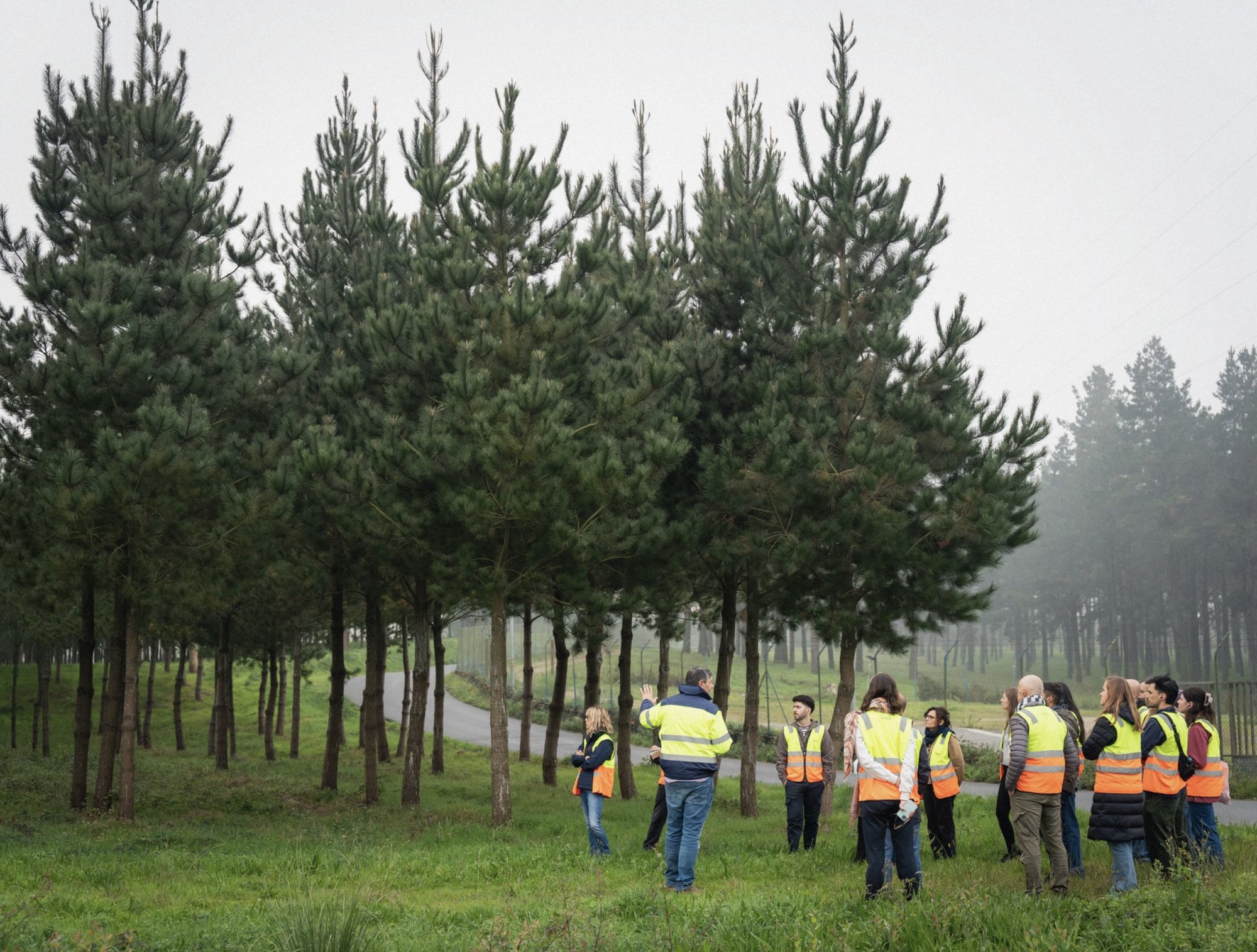 South Hub forest management training, led by IAAC with Regione Liguria and Cesefor.