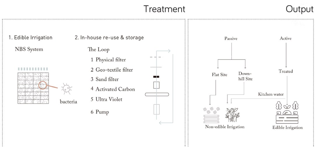 Graywater irrigation system.