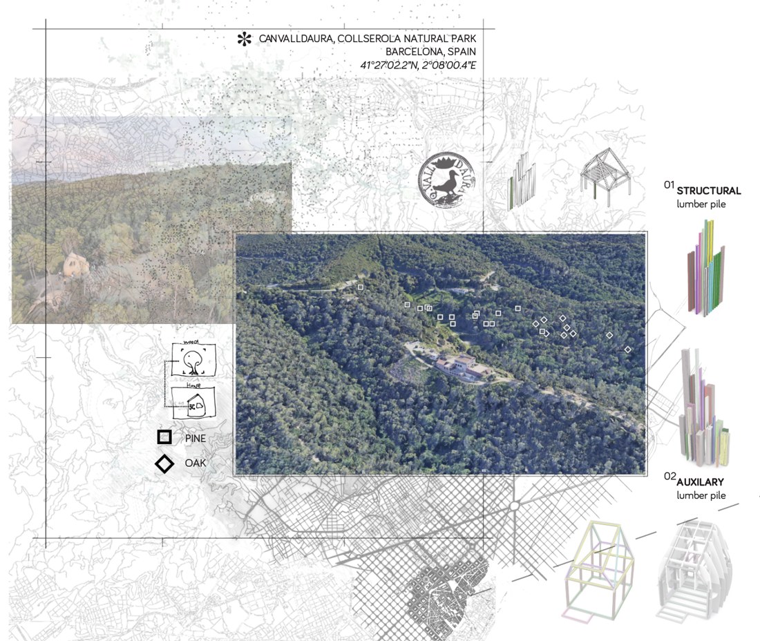 Mapping fully traceable, sustainably harvested local timber.