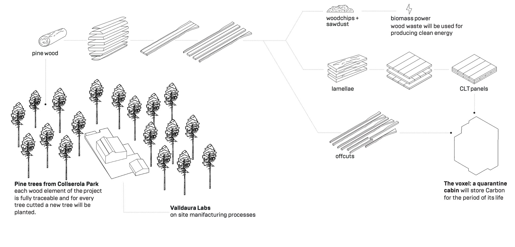 Architectural design begins with optimizing the use of local trees and reimagining waste as a resource.