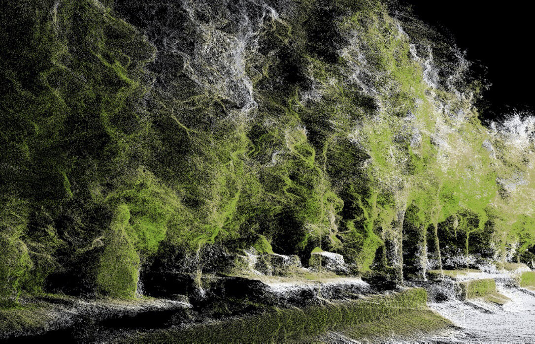Sustainable Forest Management