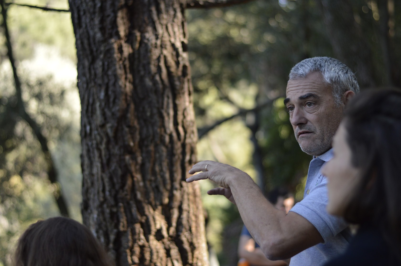 Sustainable forest management at Valldaura begins in conversation with expert ecologists like Gerard Passola ("Dr. Arbol").