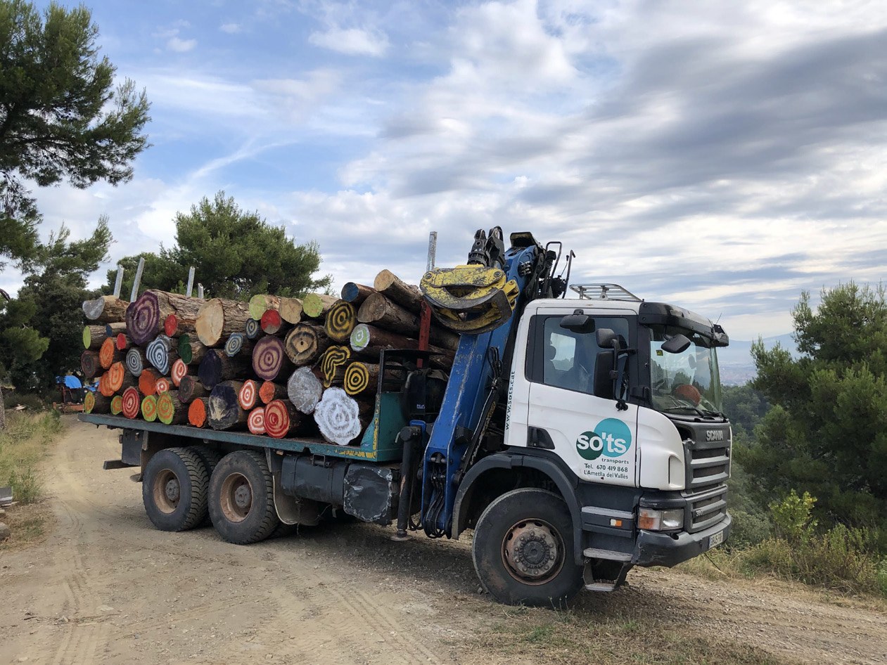 Logs cut to length for transport and painted to maintain traceability.