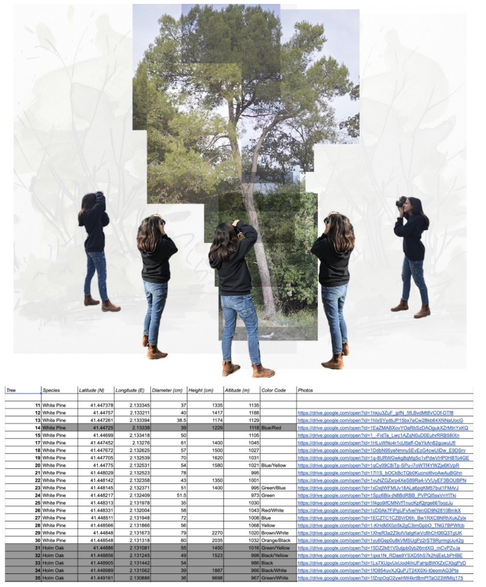Quantitative data are recorded for selected individual trees.