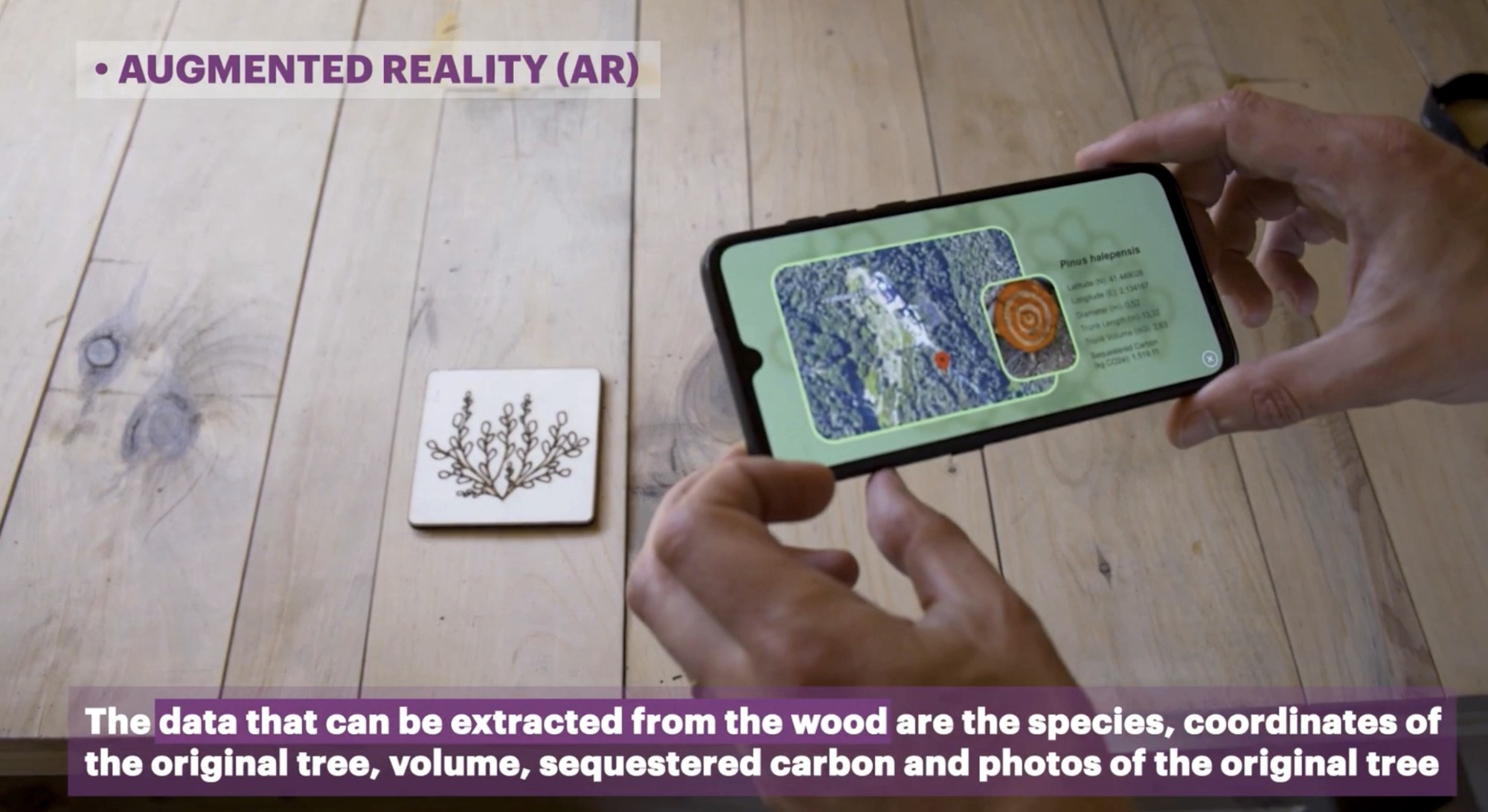 Building elements are engraved with QR codes connecting users to data from the source trees.
