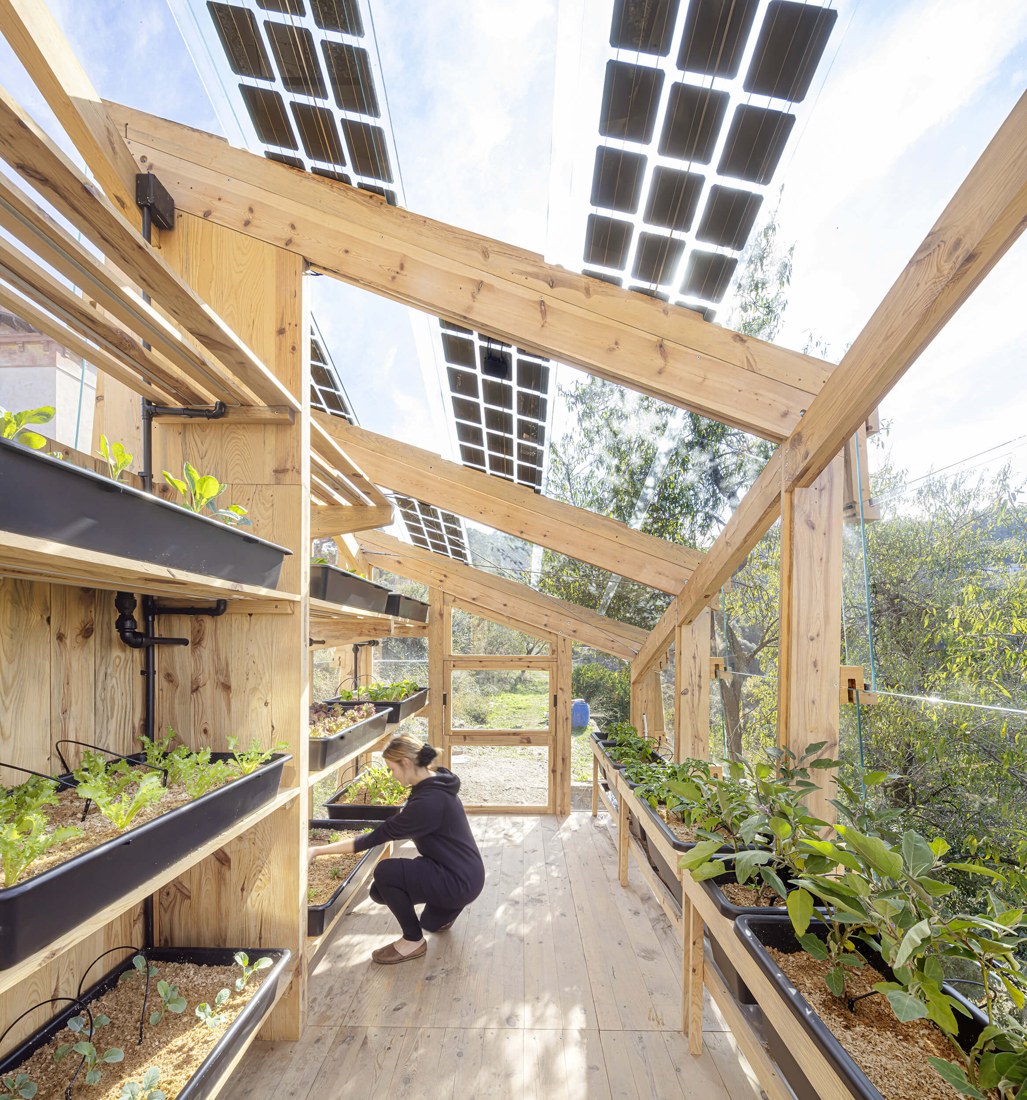 Growing beds beneath the photovoltaic roof.