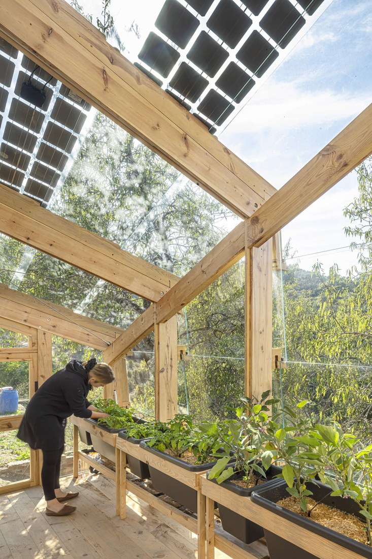 Tending plants beneath the photovoltaic roof panels.