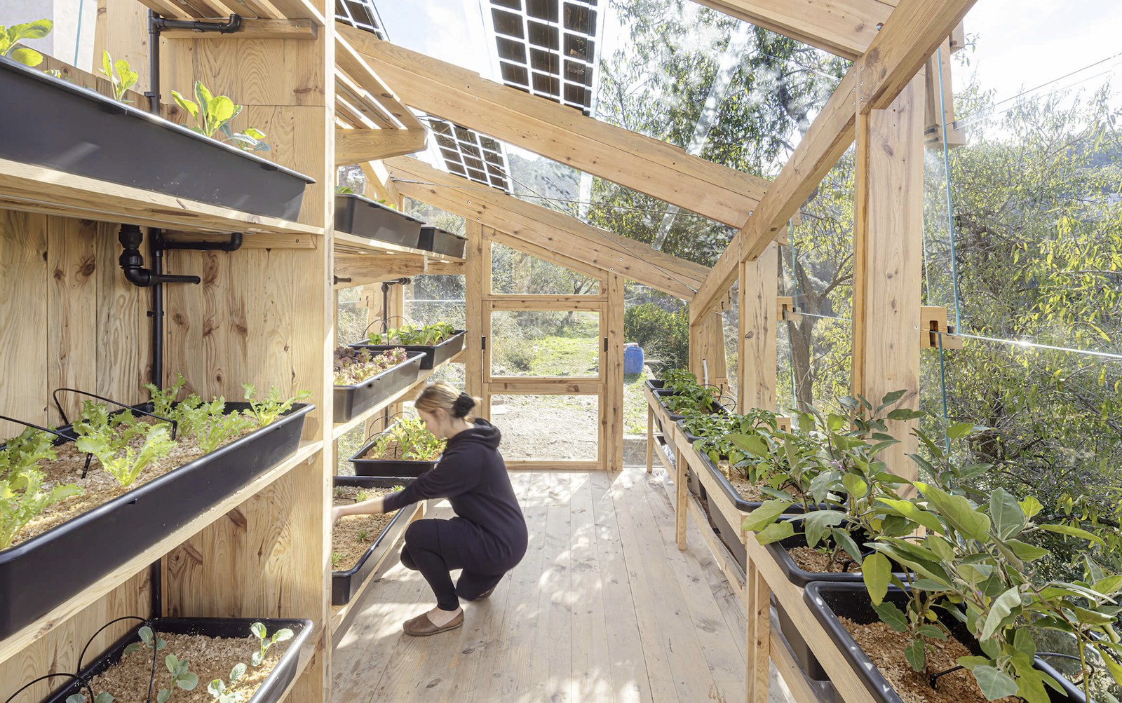 Solar Greenhouse