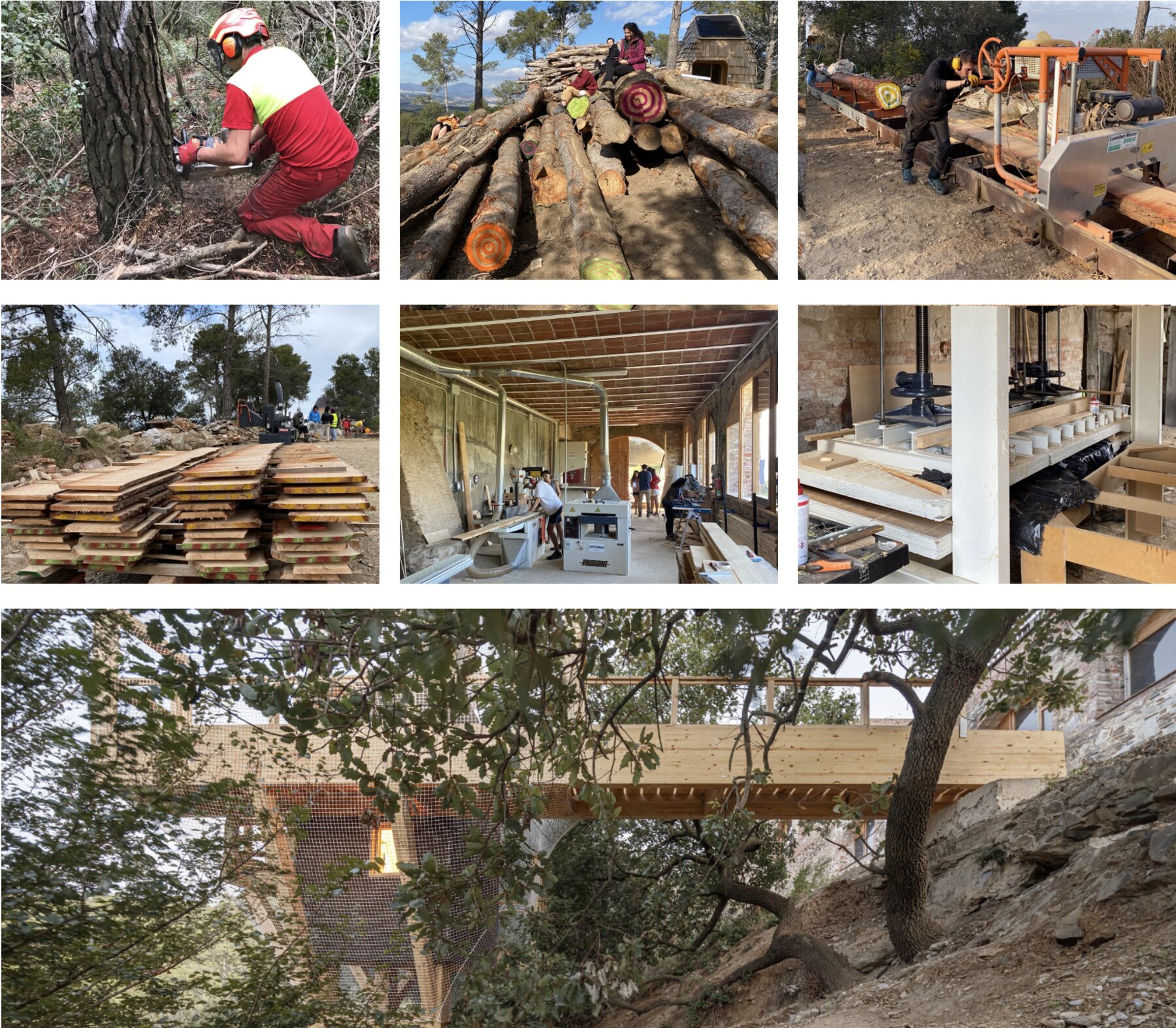 The engineered-timber value chain, forest to panel.