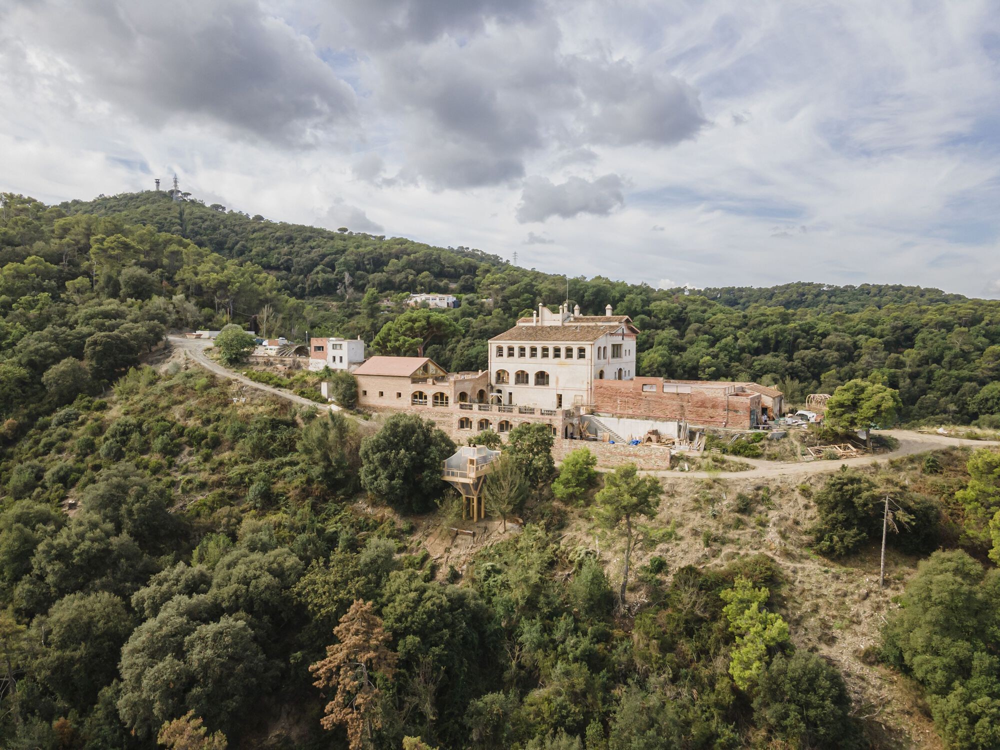 Aerial survey of the estate, FLORA within the wider forest.