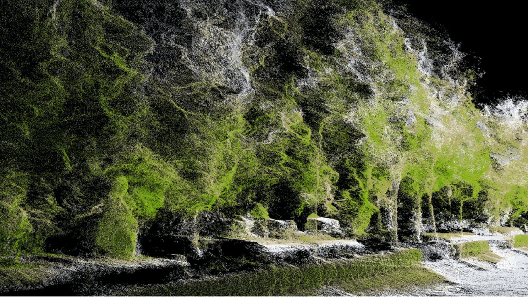 Forest scan of the estate, with Noumena, 2020.