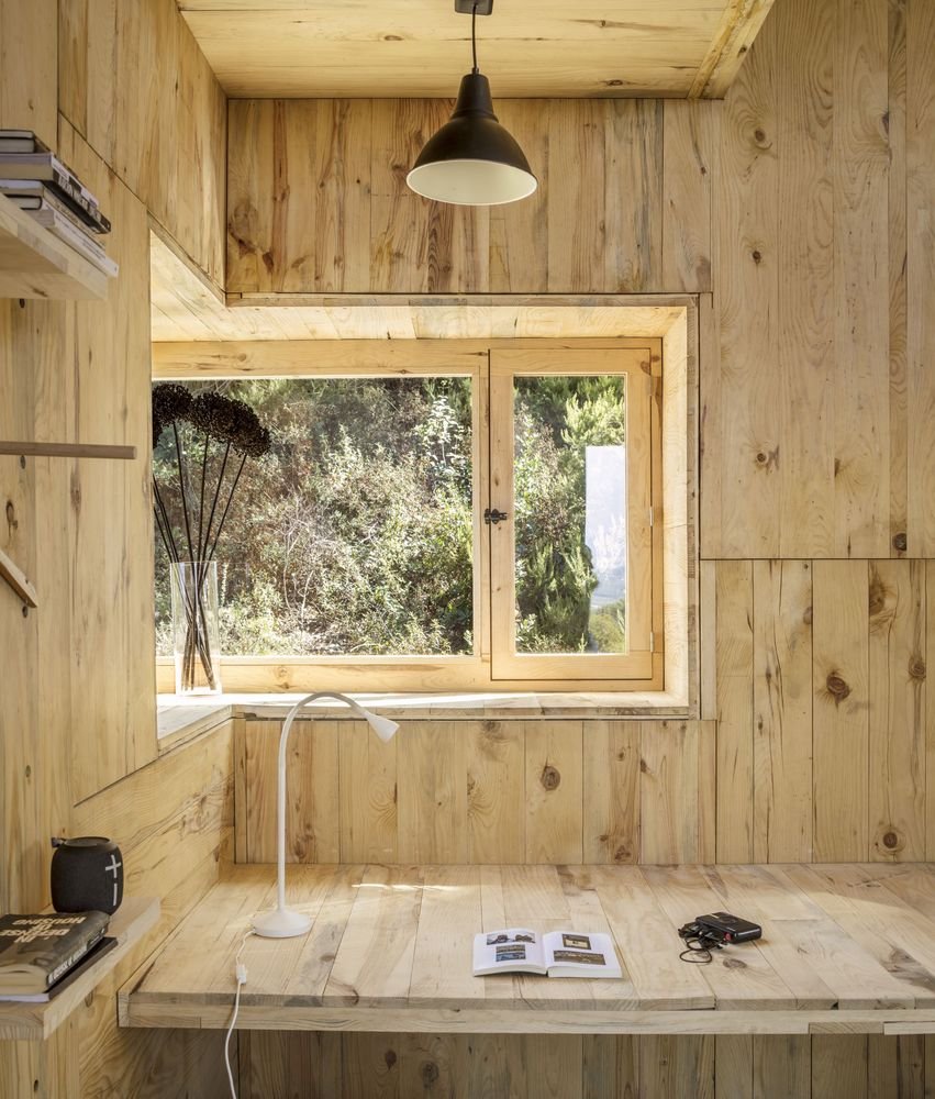 View from the work surface into the forest.