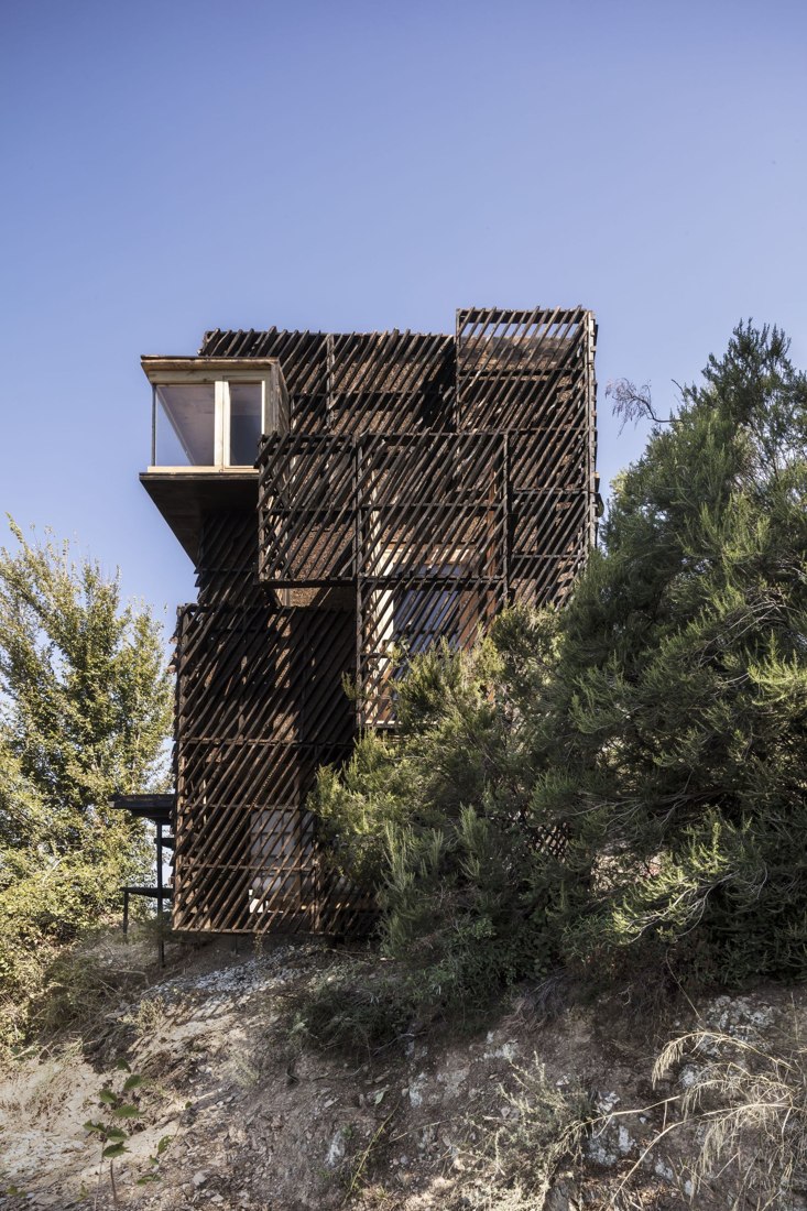 The charred timber volume, seen through the trees.