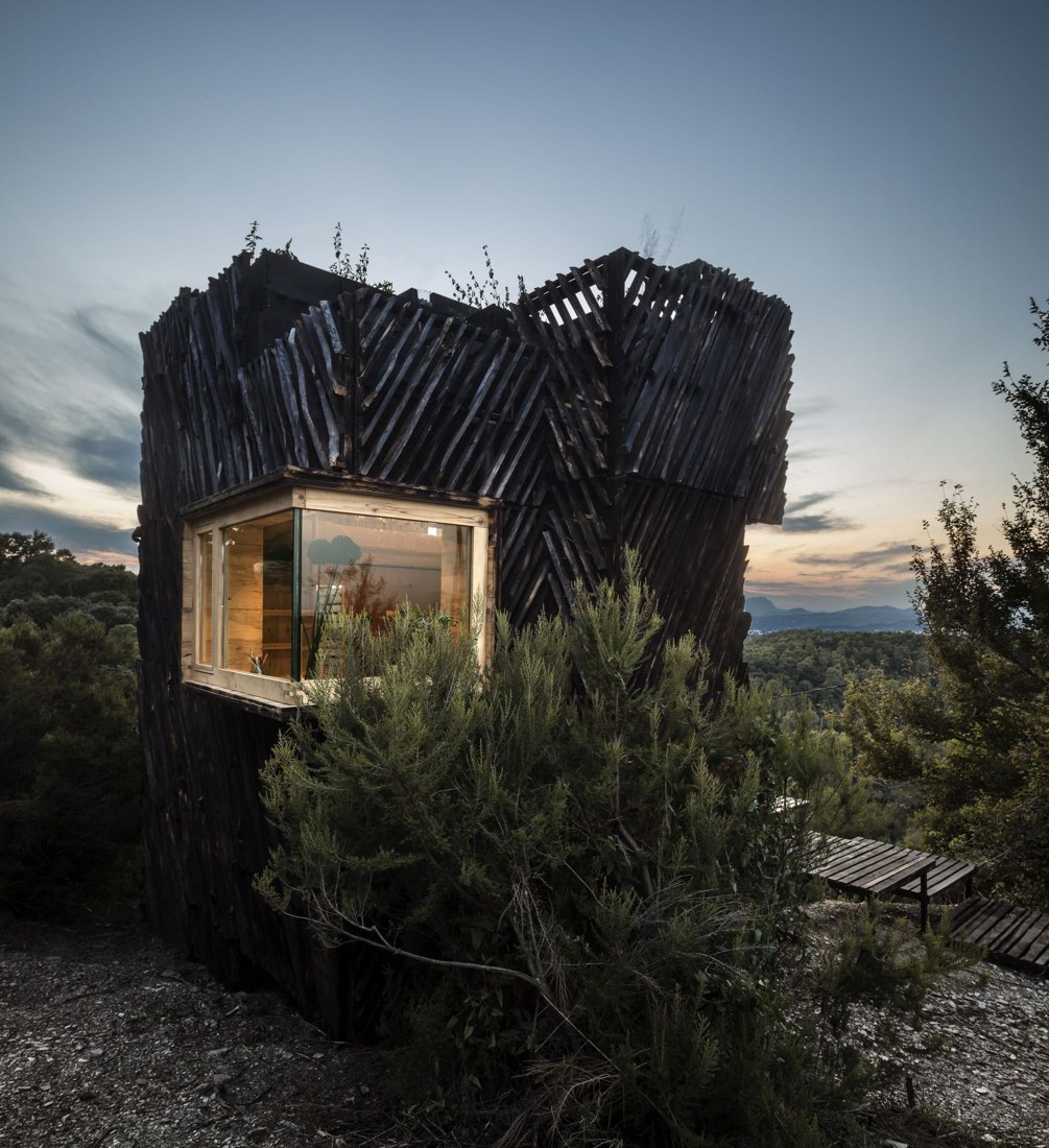 The lit window at dusk, seen through the pines.