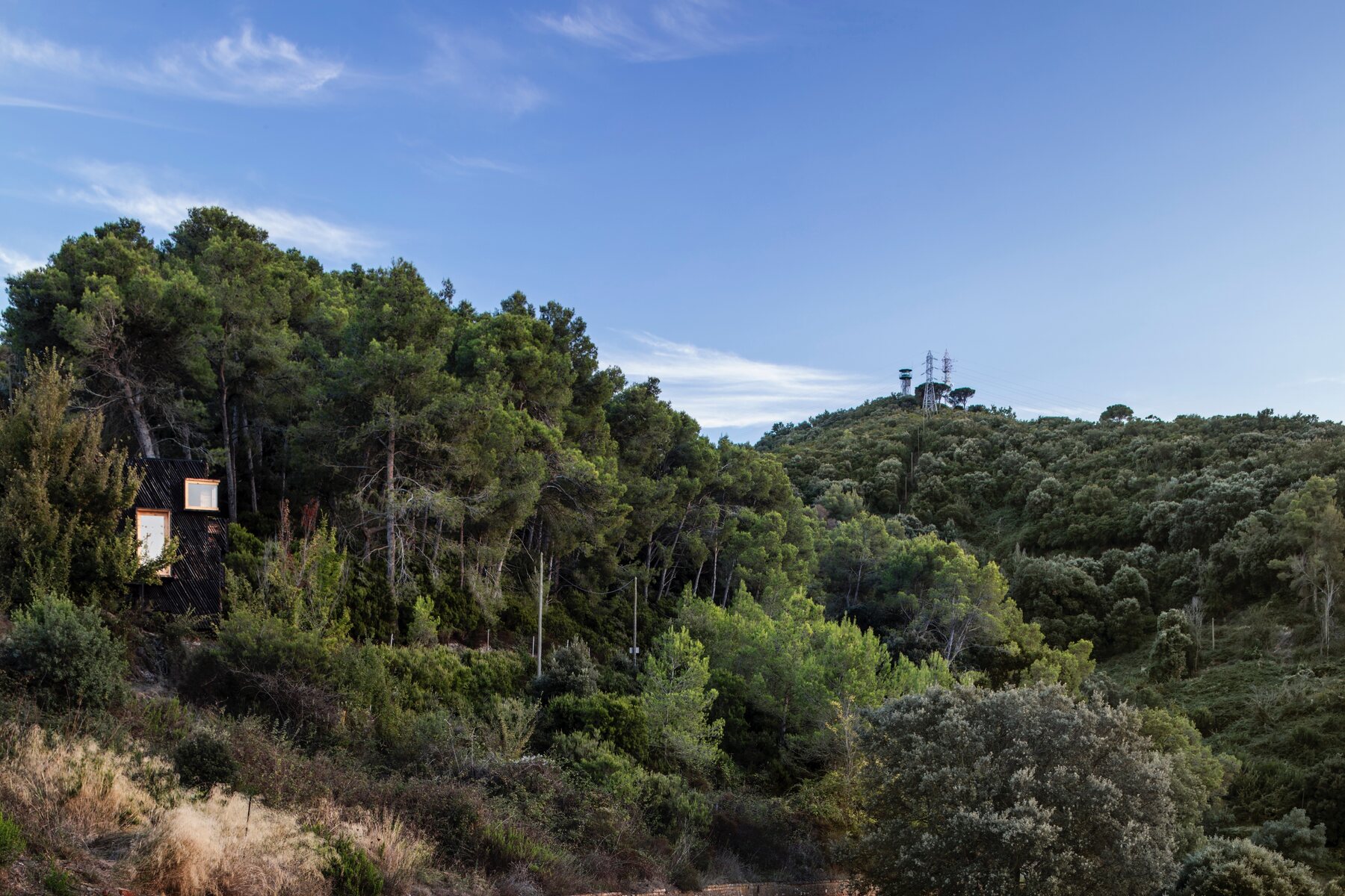 Sited to disappear into the Collserola canopy.